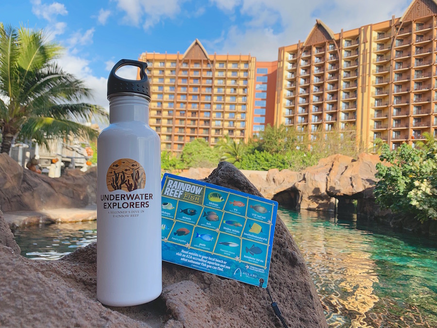 Rainbow Reef Flask and Fish ID Card